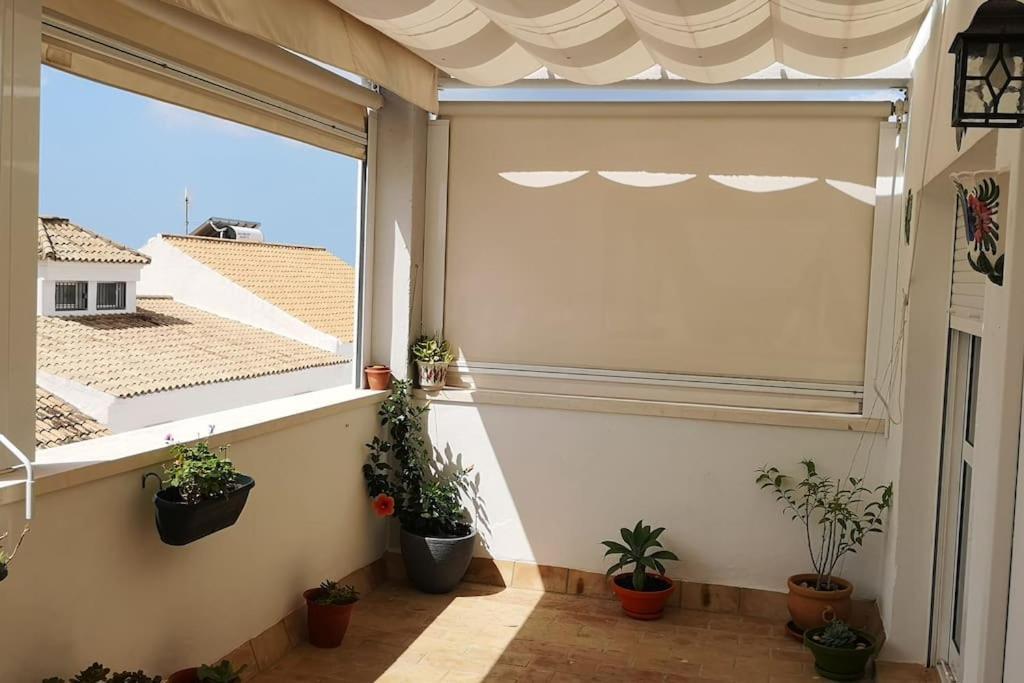 Ideal Conil - Atico - Amplia Terraza - Garaje Conil De La Frontera Ngoại thất bức ảnh